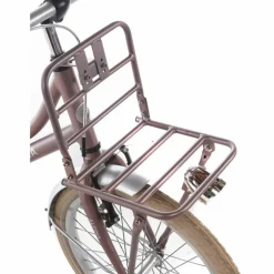Alpina Cargo 22 inch Meisjesfiets 2026