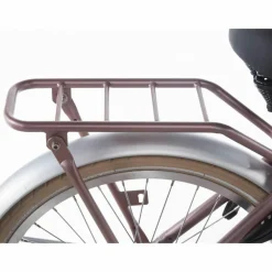 Alpina Cargo 22 inch Meisjesfiets 2026