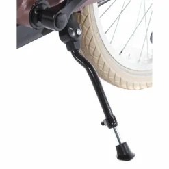 Alpina Cargo 20 inch Meisjesfiets 2026