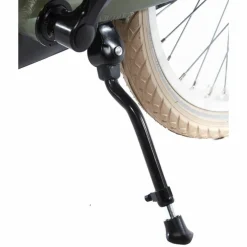 Alpina Cargo 20 inch Meisjesfiets 2026