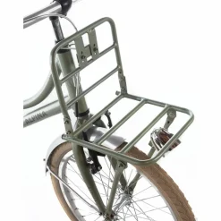 Alpina Cargo 20 inch Meisjesfiets 2026