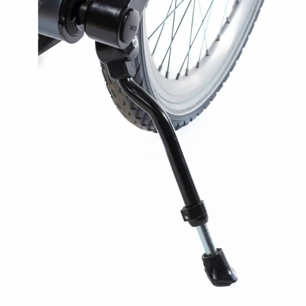 Alpina Clubb 20 inch Meisjesfiets 2026