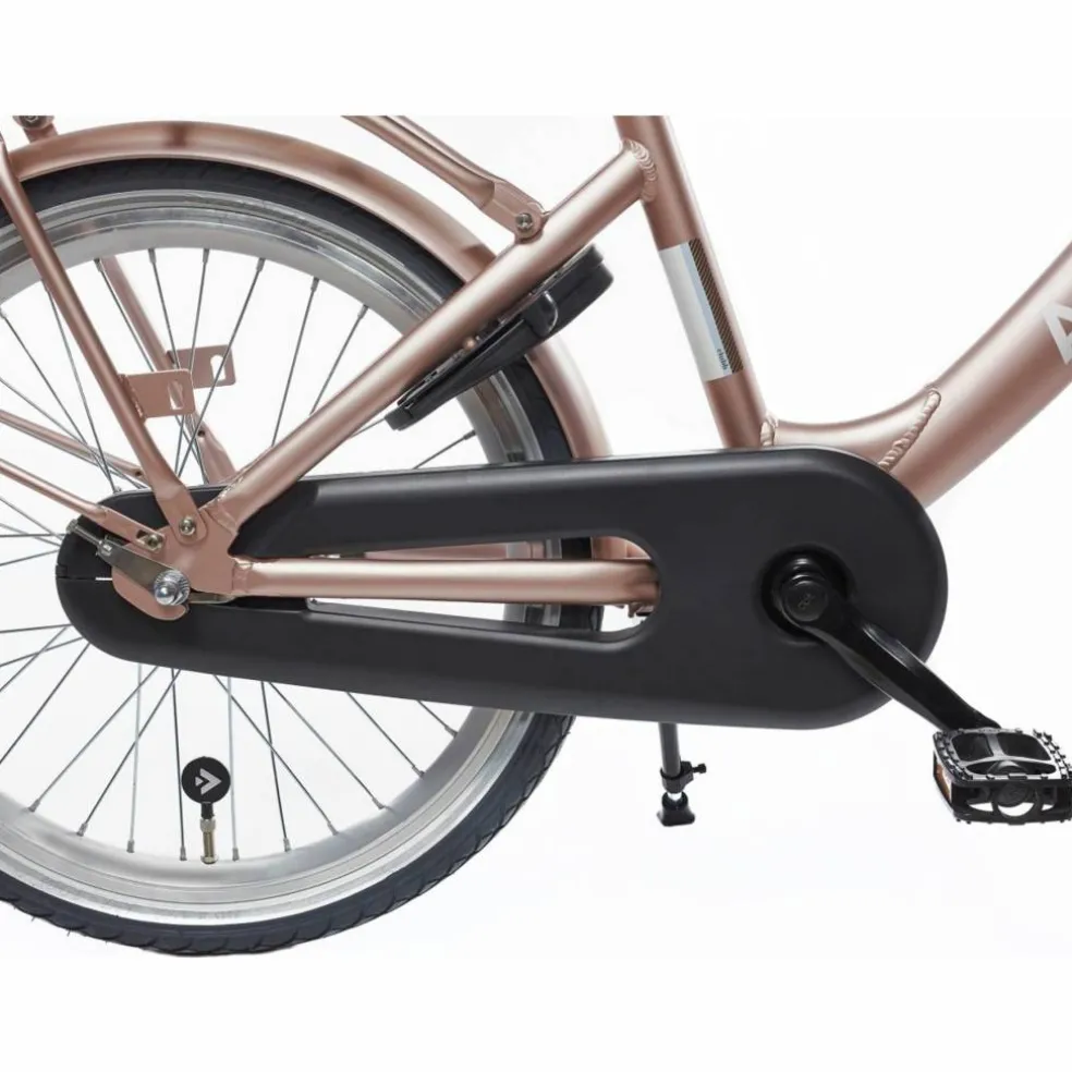 Alpina Clubb 20 inch Meisjesfiets 2026