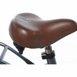 Alpina Clubb 22 inch Meisjesfiets 2026