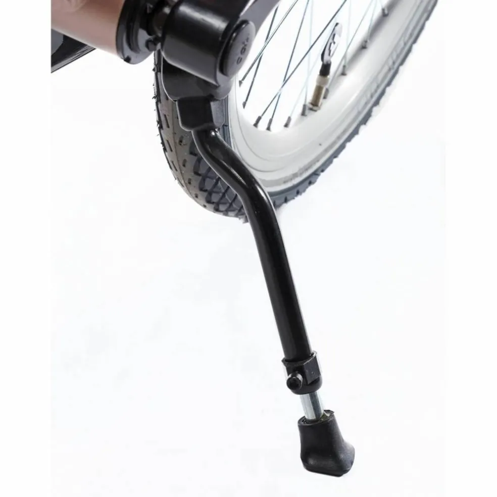 Alpina Clubb 22 inch Meisjesfiets 2026