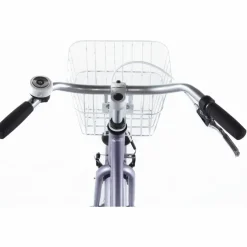 Alpina Ocean 22 inch Meisjesfiets 2026
