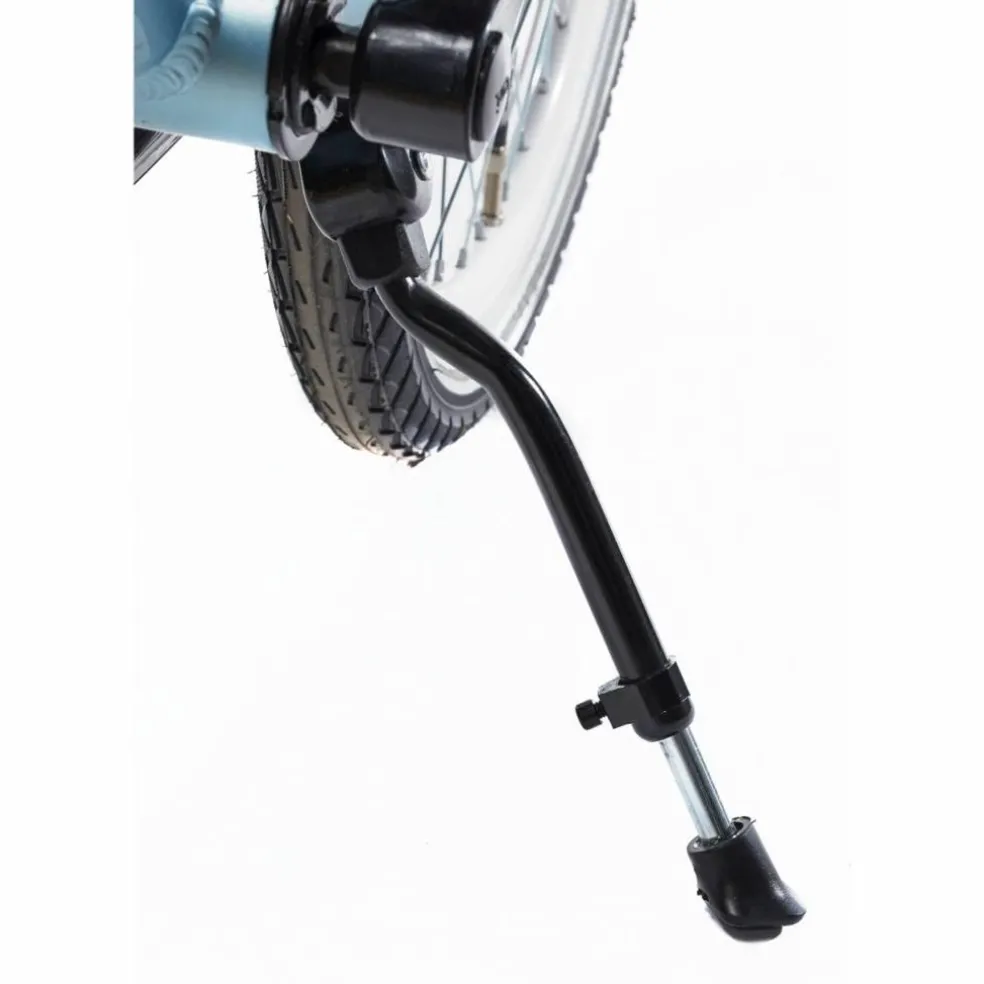 Alpina Ocean 20 inch Meisjesfiets 2026