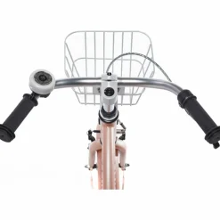 Alpina Ocean 16 inch Meisjesfiets 2026