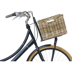 Basil Dax Fietsmand