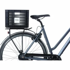 Basil MIK Transportkrat