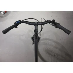 Batavus Altura E-go Plus Smart