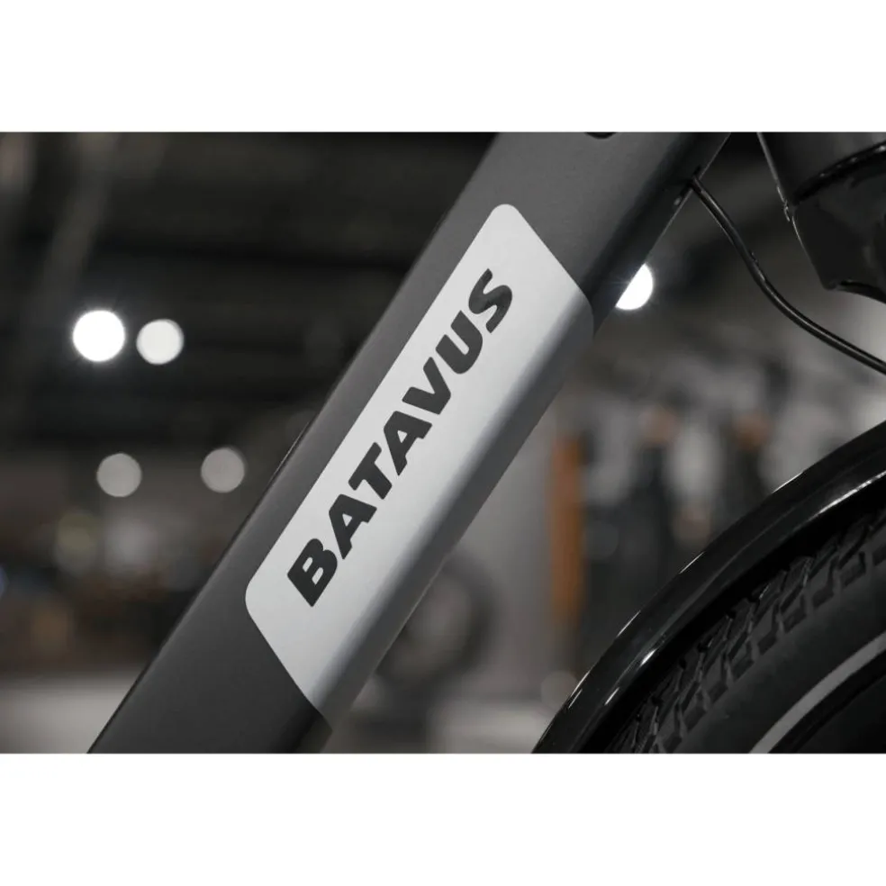 Batavus Altura E-go Plus Smart