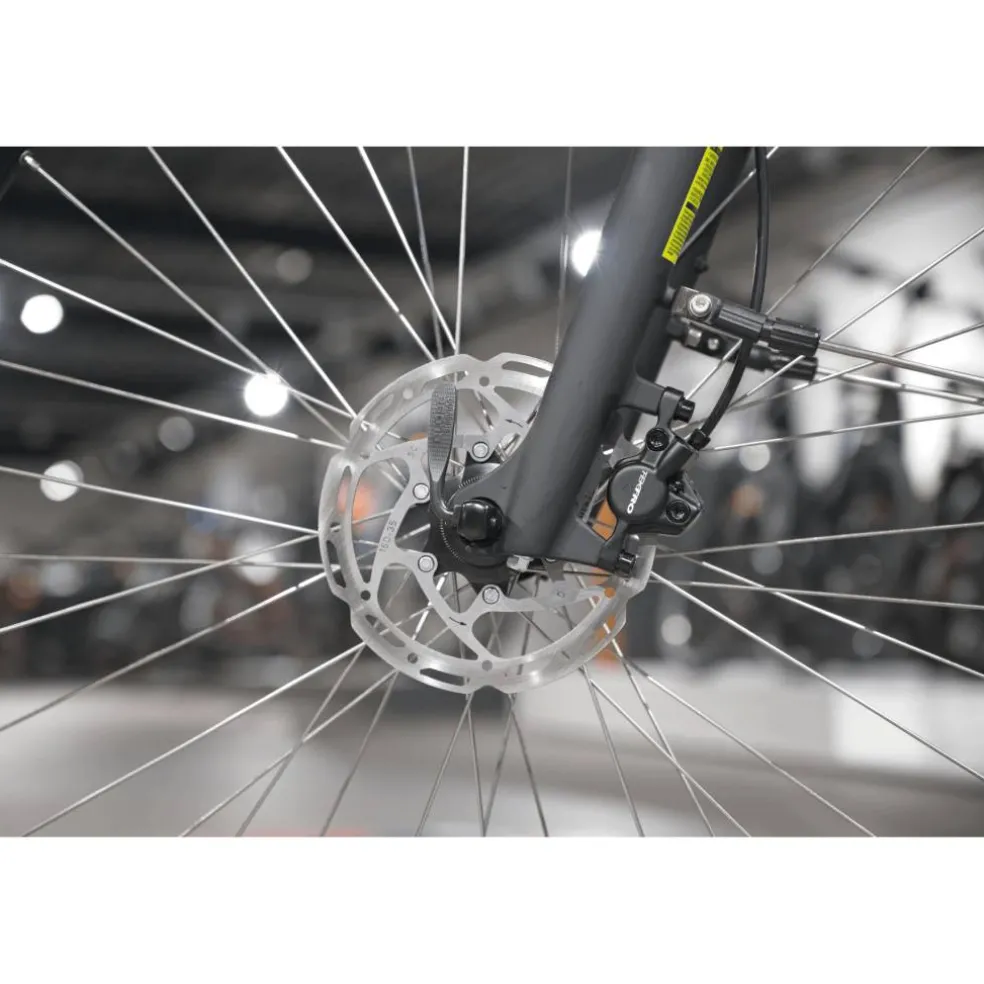 Batavus Altura E-go Plus Smart