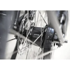 Batavus Altura E-go Plus Smart