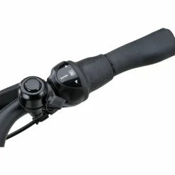 Batavus Altura E-go Power 2027