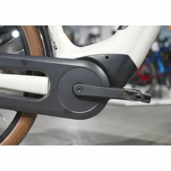 Batavus Altura E-go Power Pro