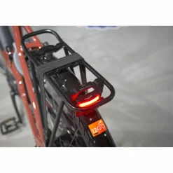 Batavus Altura E-go Power Pro