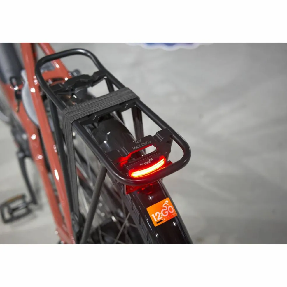 Batavus Altura E-go Power Pro