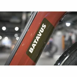 Batavus Altura E-go Power Pro