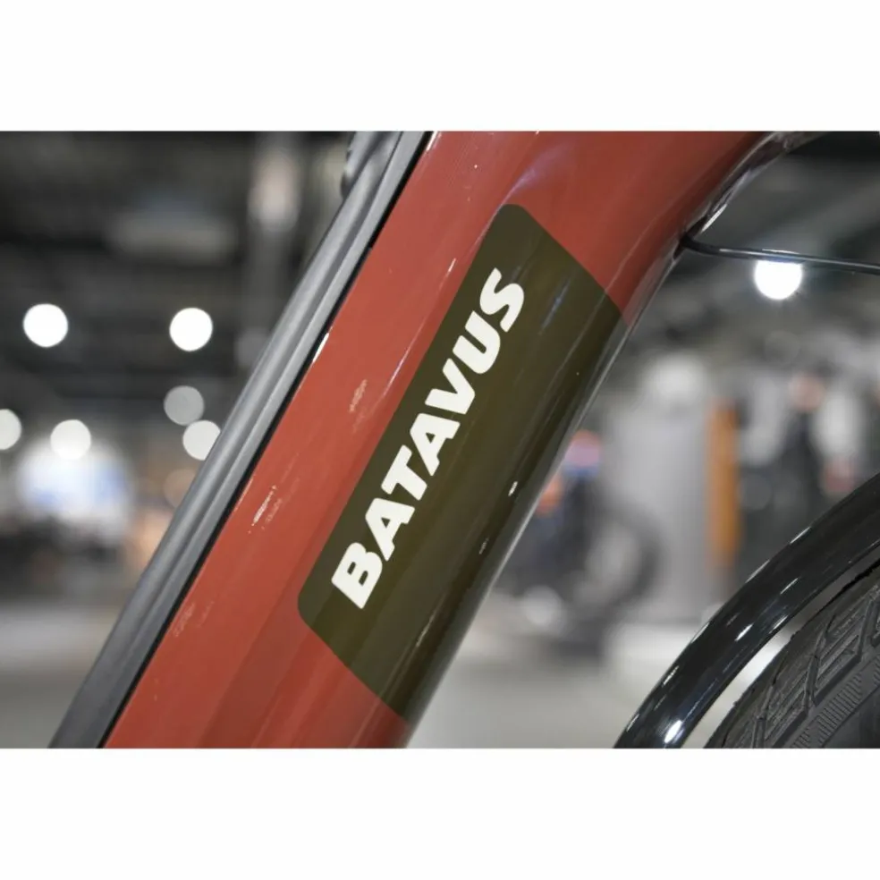 Batavus Altura E-go Power Pro