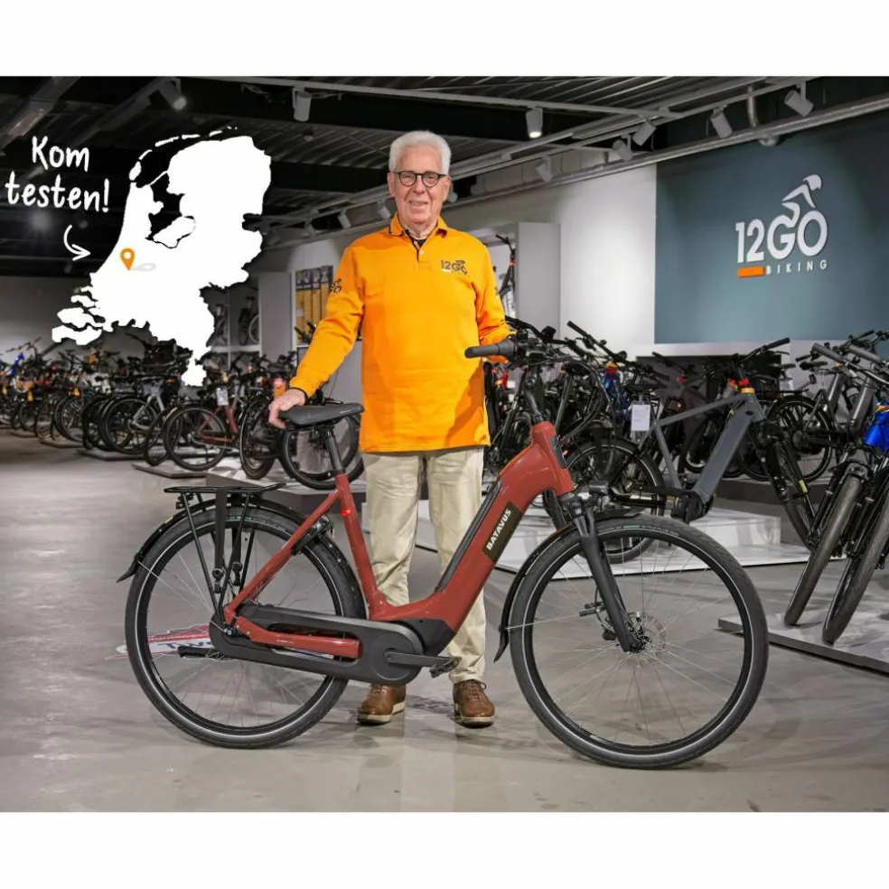 Batavus Altura E-go Power Pro