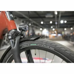 Batavus Altura E-go Power Pro