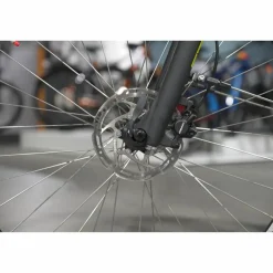 Batavus Altura E-go Power Pro