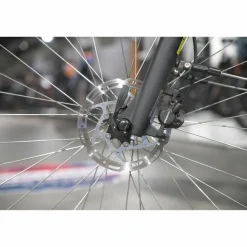 Batavus Altura E-go Power Pro