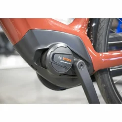 Batavus Altura E-go Power Pro