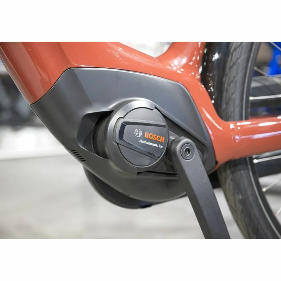 Batavus Altura E-go Power Pro