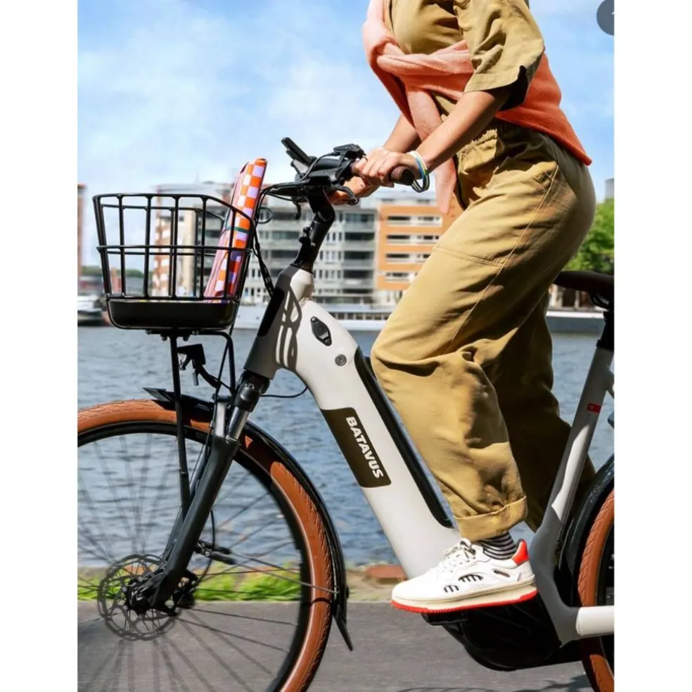 Batavus Finez / Altura / Senz Voordragerset