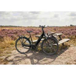 Batavus Finez E-go Power Exclusive Smart 2025