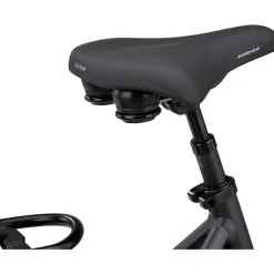 Batavus Finez E-go Power Exclusive Plus Smart