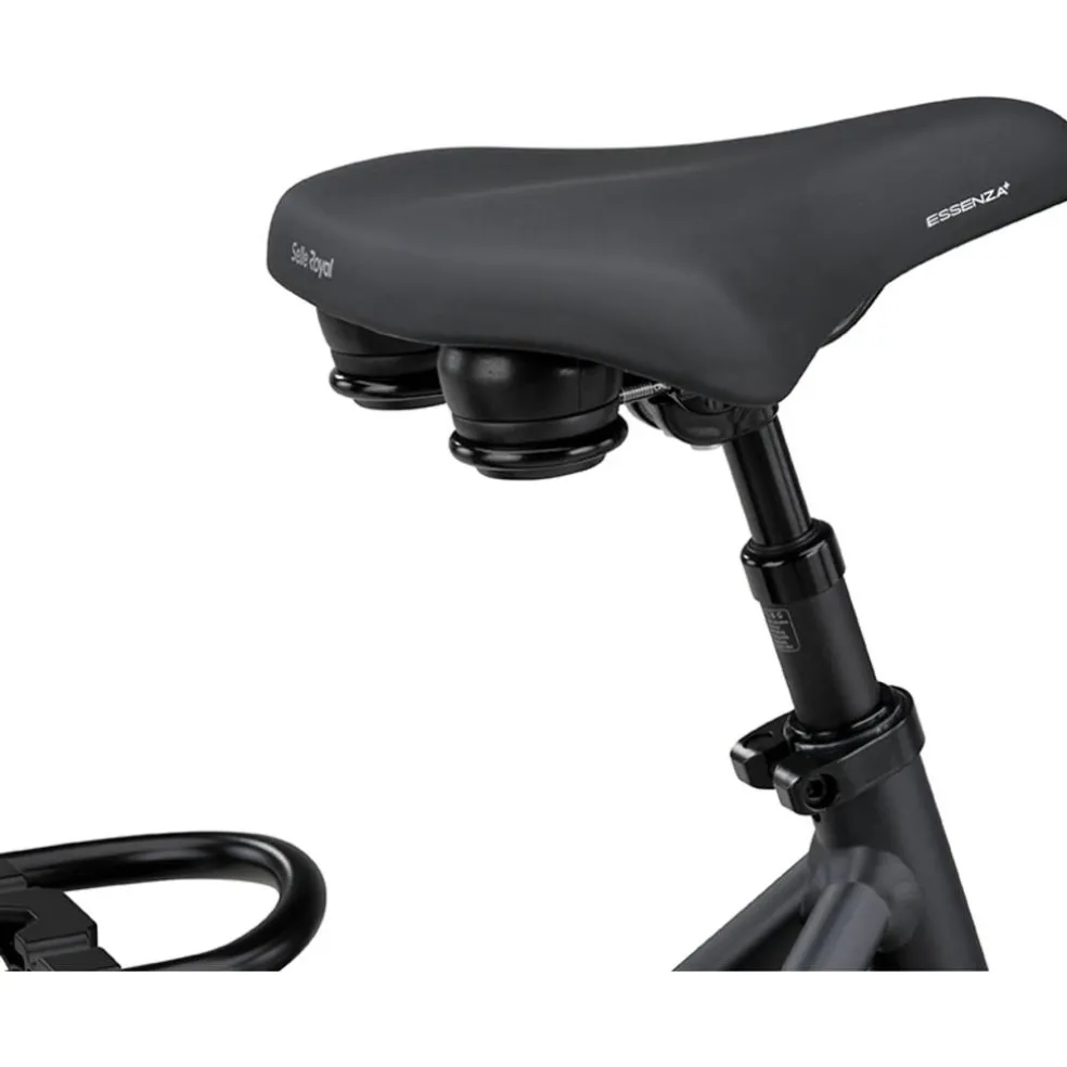 Batavus Finez E-go Power Exclusive Plus Smart