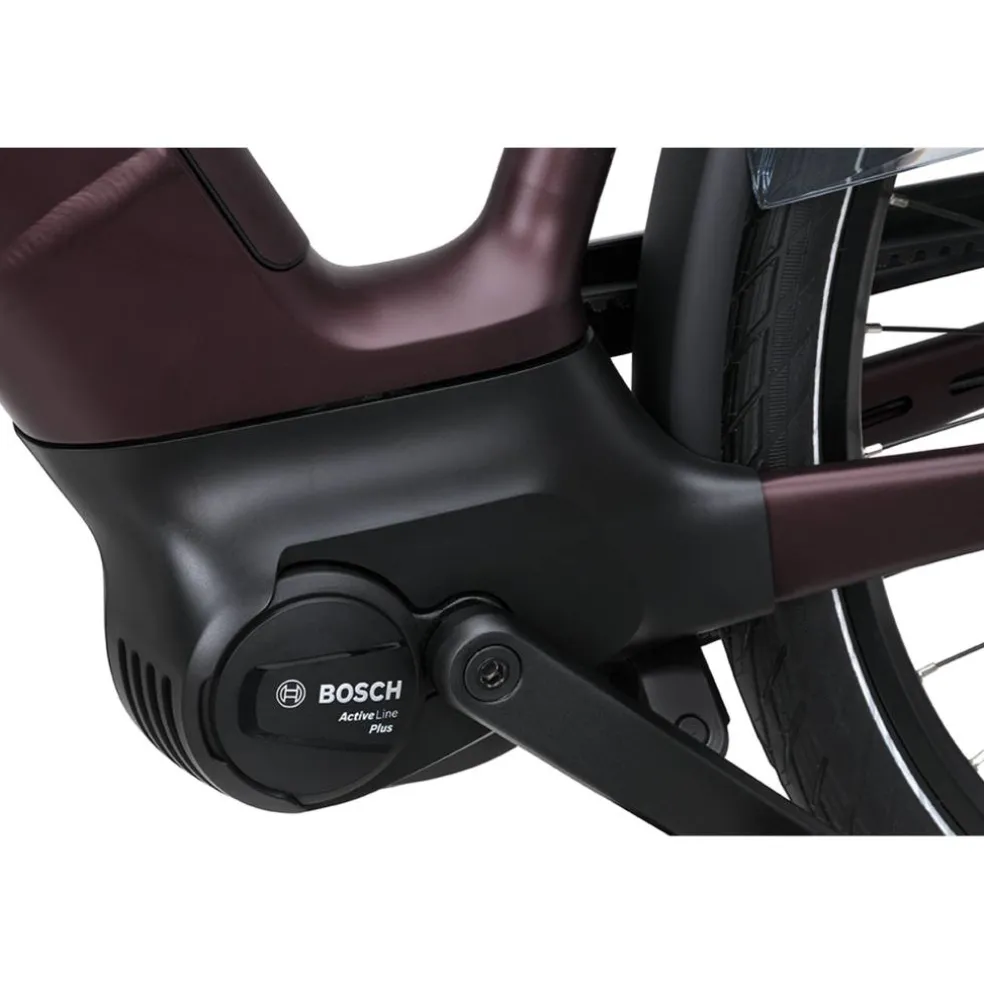 Batavus Finez E-go Power Exclusive Smart