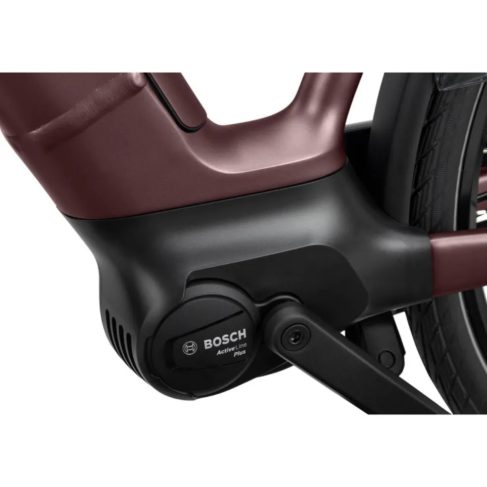 Batavus Finez E-go Power Smart