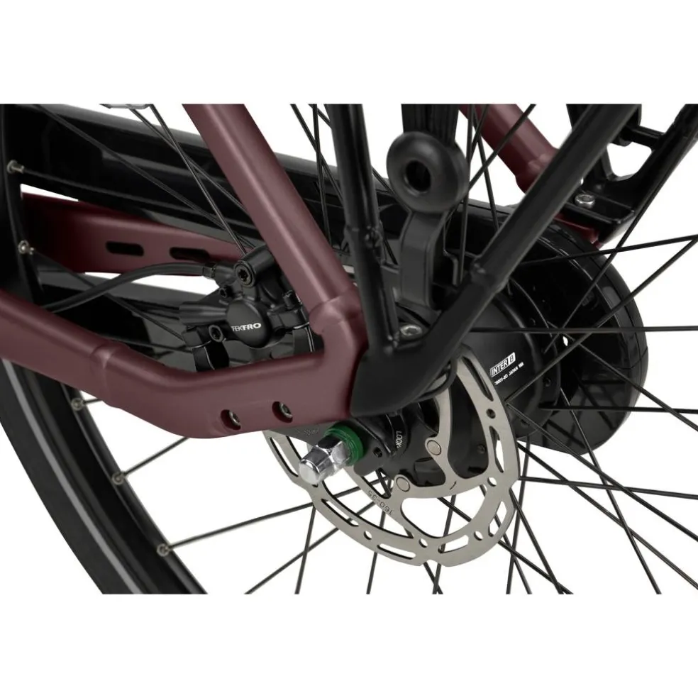 Batavus Finez E-go Power Smart