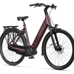 Batavus Finez E-go Power Smart