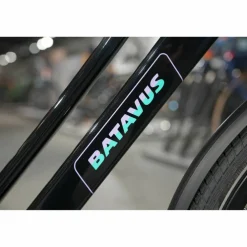 Batavus Fonk N3