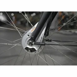 Batavus Fonk N3