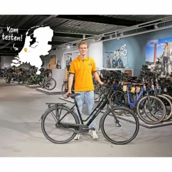 Batavus Fonk N7