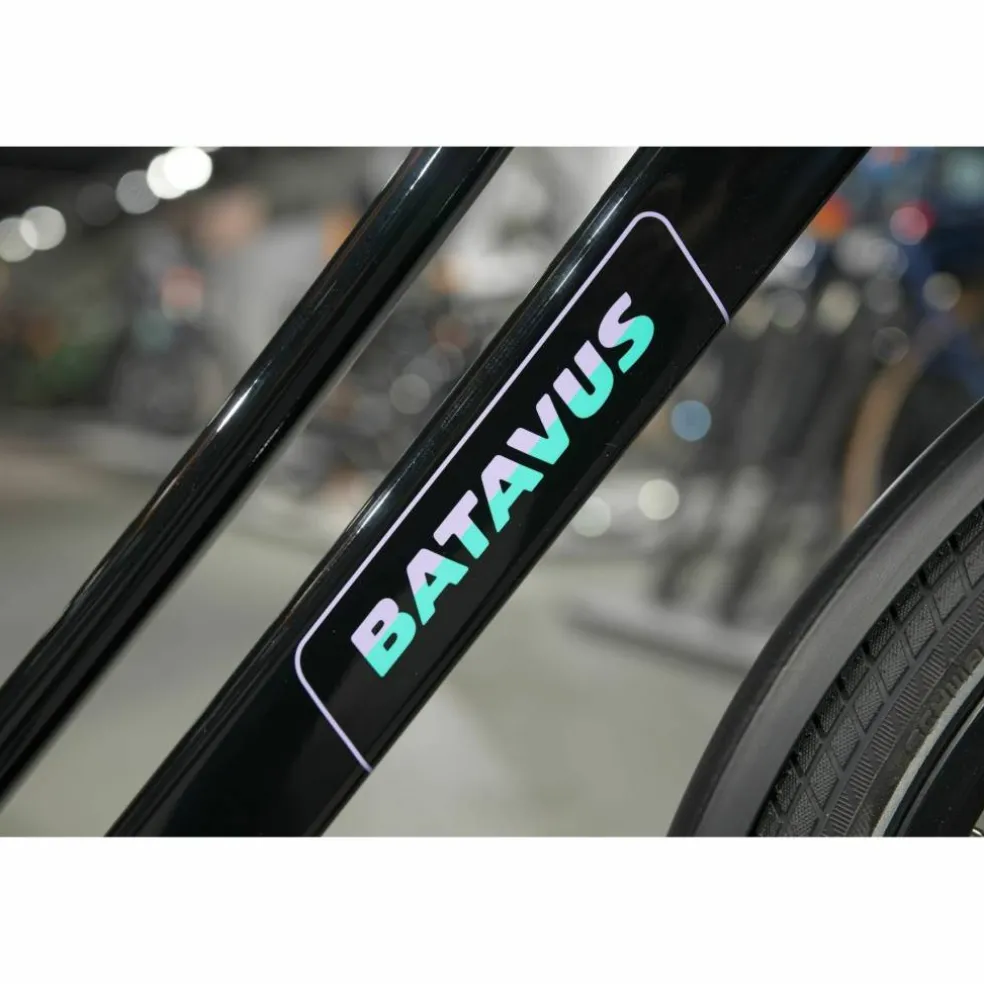Batavus Fonk N7
