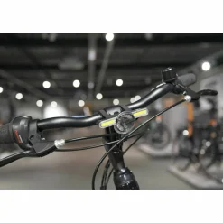 Batavus Fonk N7