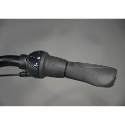 Batavus Fonk N7
