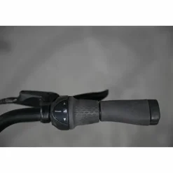 Batavus Senz Comfort