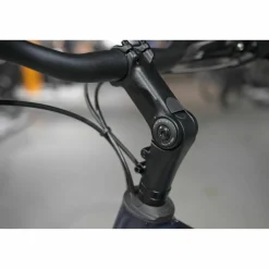 Batavus Senz Comfort