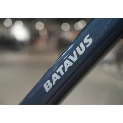 Batavus Senz Comfort