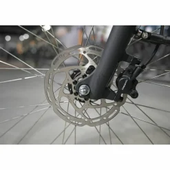 Batavus Senz Comfort