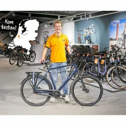 Batavus Senz Comfort