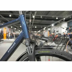 Batavus Senz Comfort